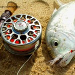 Giant Trevally and 3-Tand TF70